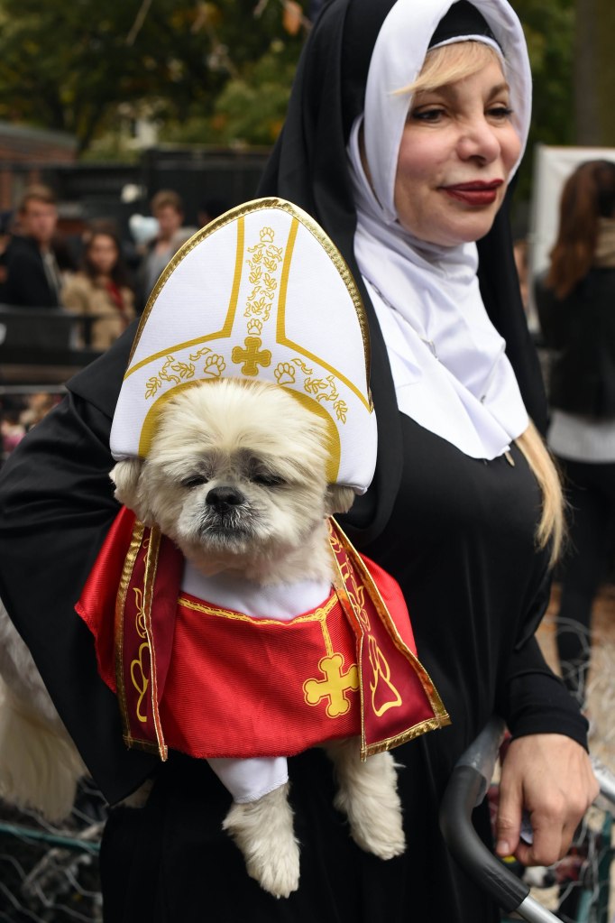 A dog dressed as the Pope takes part in the 25th annual Tompkins Square Halloween Dog Parade in New York, October 24, 2015. AFP PHOTO / TIMOTHY A. CLARYTIMOTHY A. CLARY/AFP/Getty Images